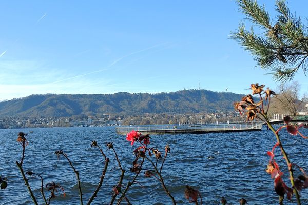 Spaziergang am See
